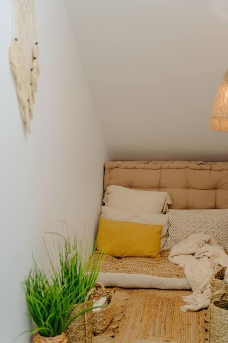 Apartamento Super Oldtown Funchal  Exterior foto